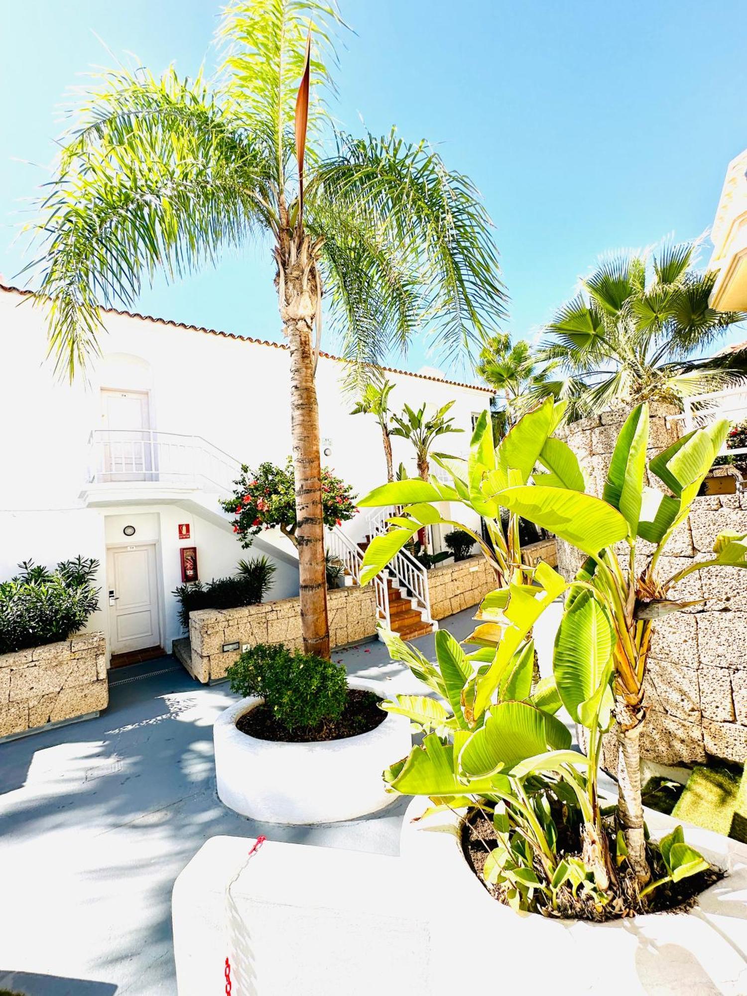 Luxury Fanabe With Private Garden Apartment *
